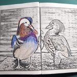 Japanese Books: From Manuscript to Print
